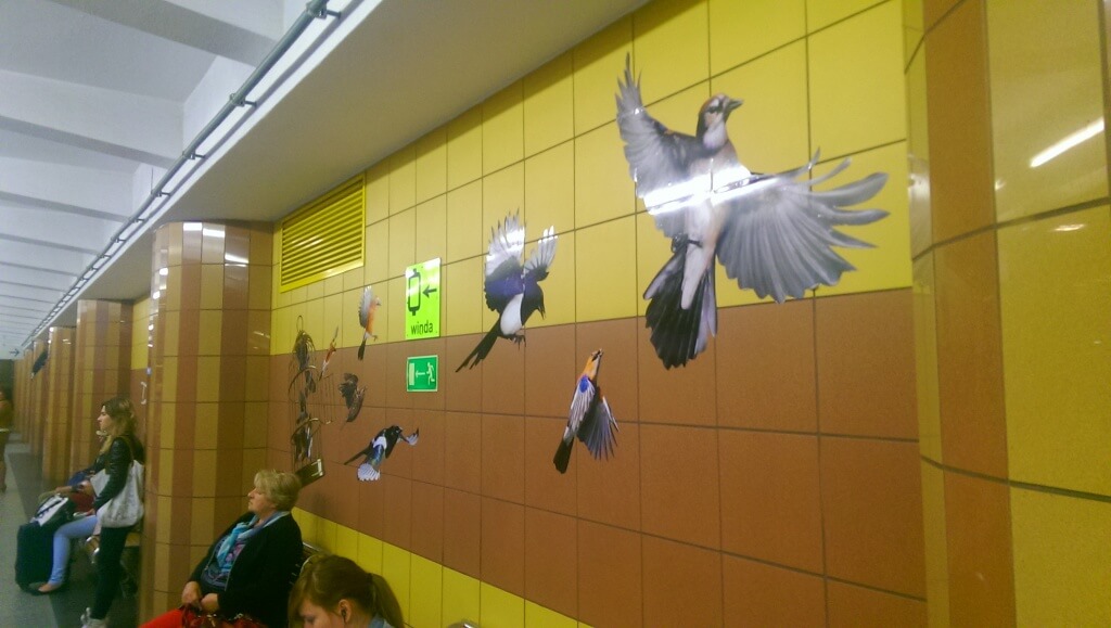 Birds drawn on a wall
